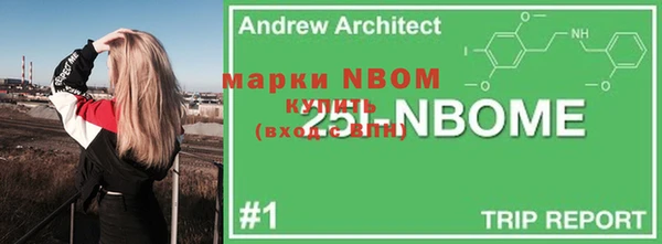 Альфа ПВП Верея