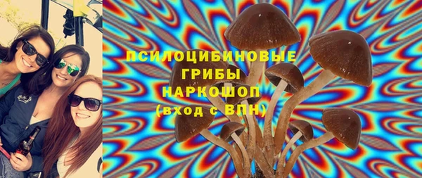 Альфа ПВП Верея