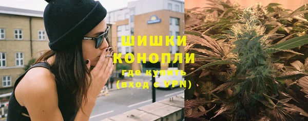 Альфа ПВП Верея