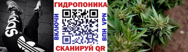 Бошки марихуана план  блэк спрут ССЫЛКА  Архангельск  закладка 